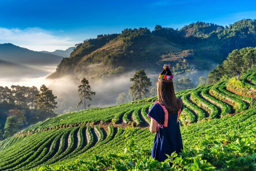 Kerala Tourism (1)
